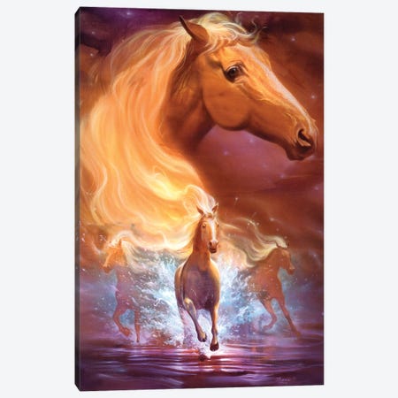 Dreams Need Hope To Run Free Canvas Print #JHY10} by Jeff Haynie Canvas Art Print