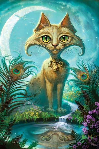 Feathers: Reflections by Jeff Haynie