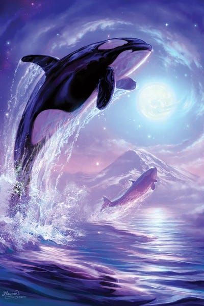 Orcas: Touch The Sky by Jeff Haynie