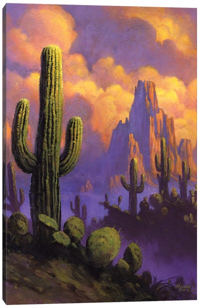 Desert Breeze Canvas Art Print