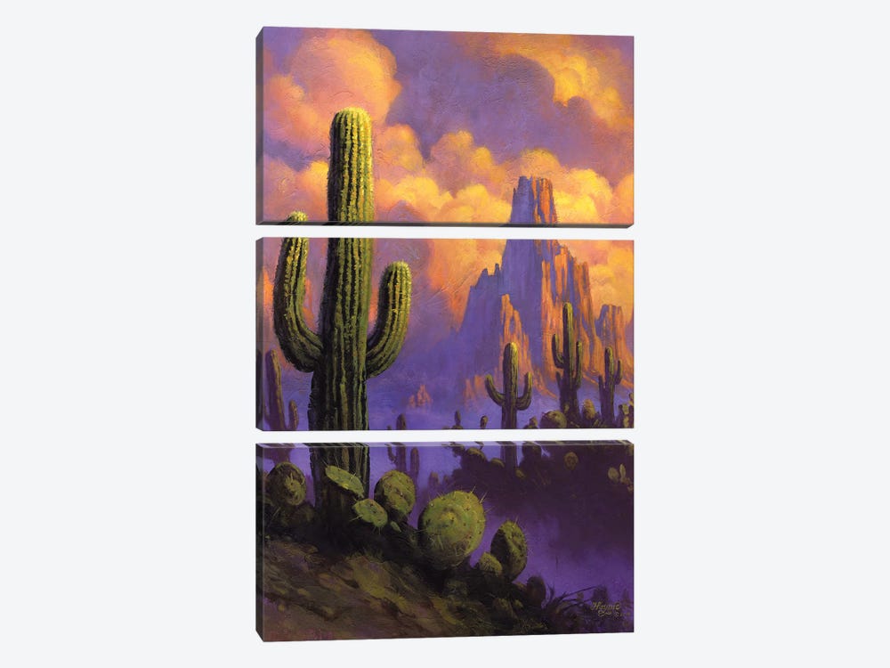 Desert Breeze by Jeff Haynie 3-piece Canvas Art Print