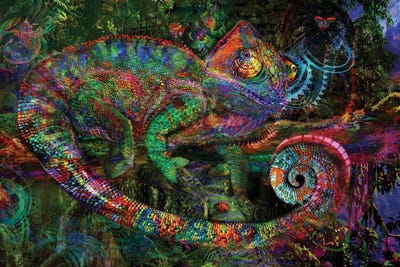 Chameleon by Jumbie framed canvas print