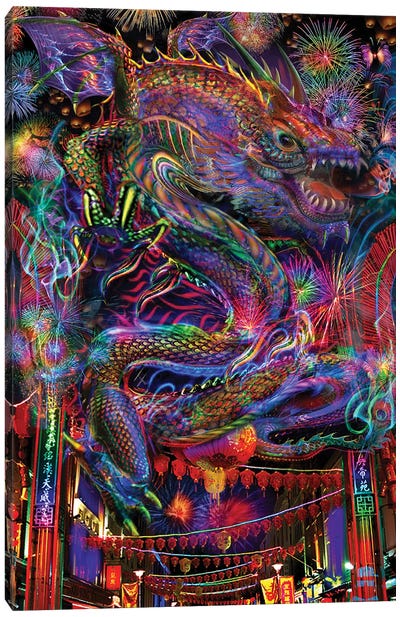 Dragon Canvas Art Print - Jumbie