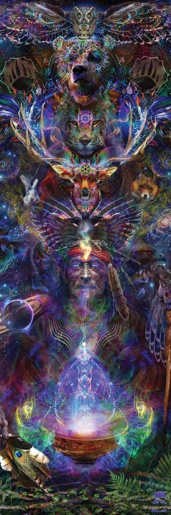 Ether Shaman by Jumbie wall art