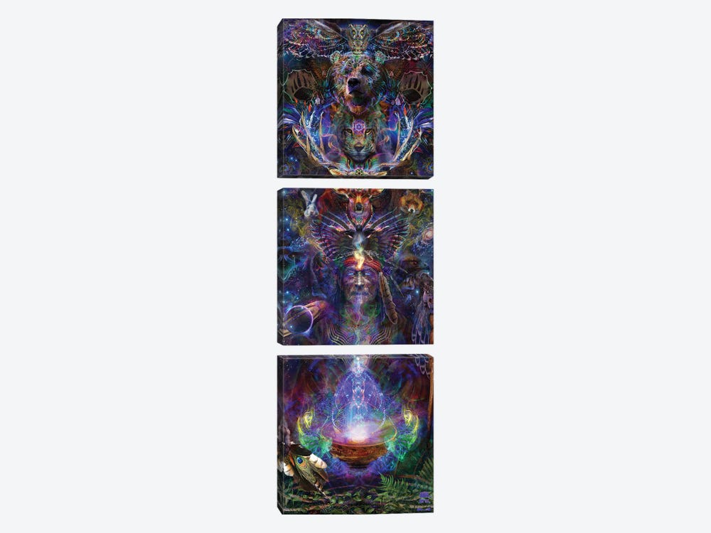 Ether Shaman by Jumbie 3-piece Canvas Wall Art