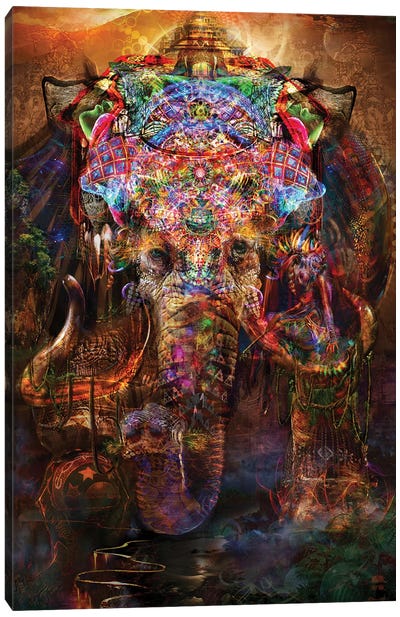 Ganesha Canvas Art Print - Psychedelic & Trippy Art