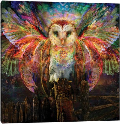 Owl Canvas Art Print - Psychedelic & Trippy Art