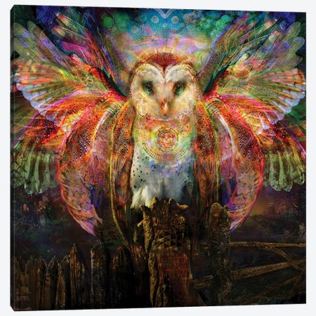 Owl Canvas Print #JIE54} by Jumbie Art Print