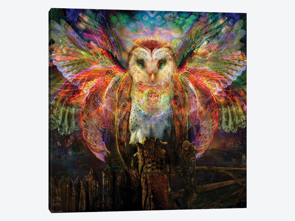 Owl by Jumbie 1-piece Canvas Art Print
