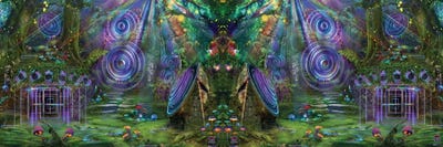 Sound Garden Butterfly by Jumbie multi panel art