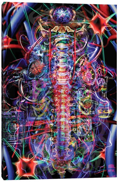 Spine Canvas Art Print - Psychedelic & Trippy Art