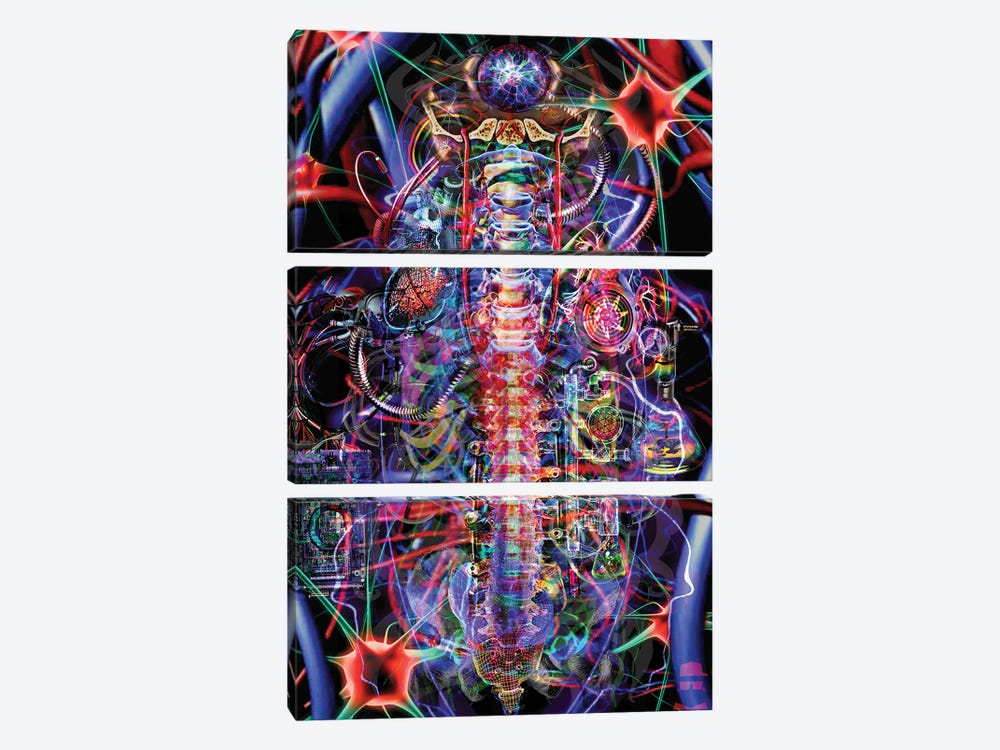 Spine by Jumbie 3-piece Canvas Art Print