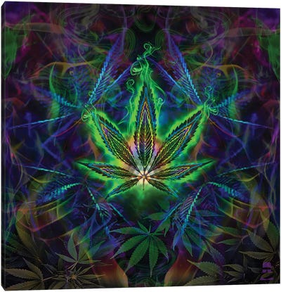 Sweet Leaf Canvas Art Print - Marijuana