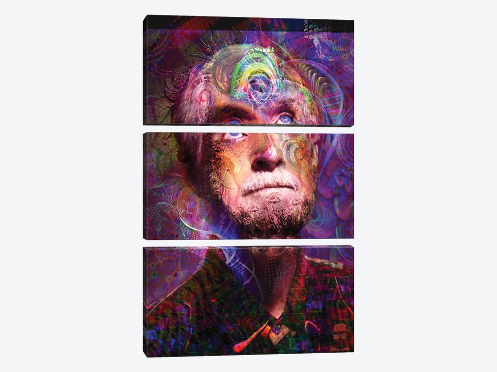 Timothy Leary by Jumbie 3-piece Canvas Print