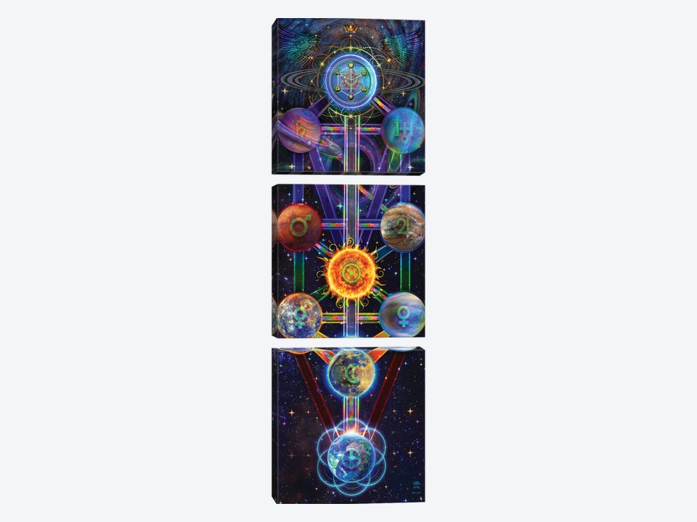 Tree Of Life by Jumbie 3-piece Canvas Wall Art