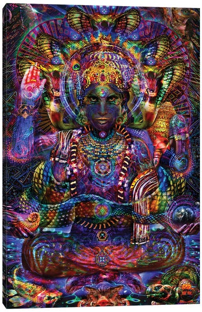 Vishnu Canvas Art Print - Hinduism Art