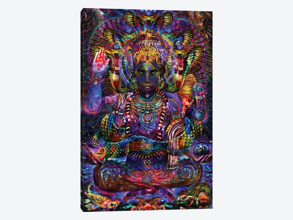 Vishnu by Jumbie 1-piece Canvas Art Print