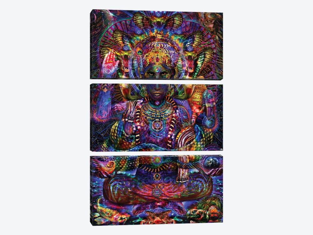 Vishnu by Jumbie 3-piece Canvas Art Print