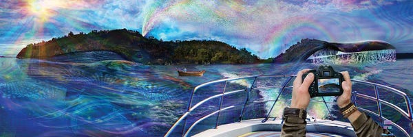 Jumbie: Whale Named Gaia by Jumbie