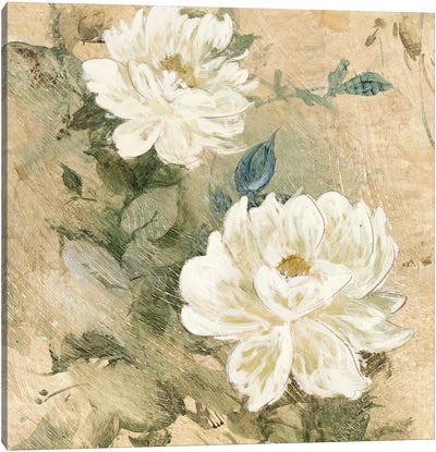 White Flowers I Canvas Art Print
