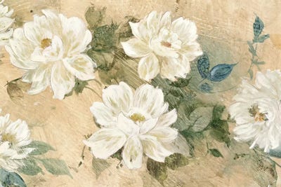 White Petals by Jil Wilcox canvas print