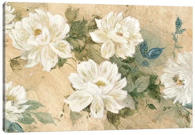 White Petals Canvas Art Print