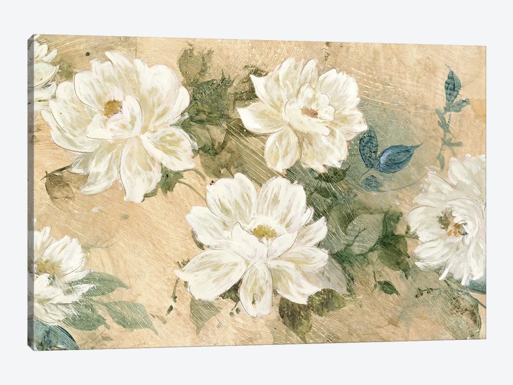 White Petals by Jil Wilcox 1-piece Canvas Print