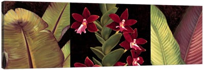 Red Orchids And Palm Leaves Canvas Art Print