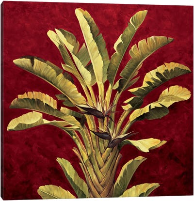 Traveler's Palm Canvas Art Print