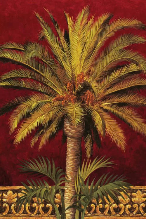 Canary Palm