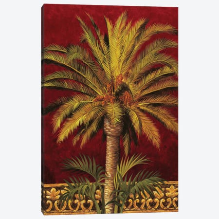 Canary Palm Canvas Print #JIM3} by Rodolfo Jimenez Art Print