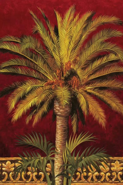 Nature Close-Ups: Canary Palm by Rodolfo Jimenez