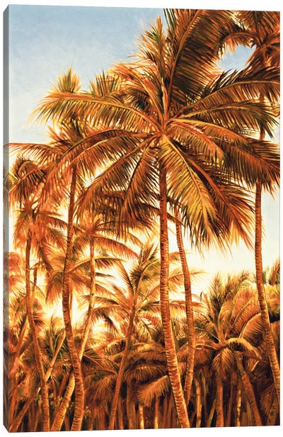 Island Sunset I Canvas Art Print