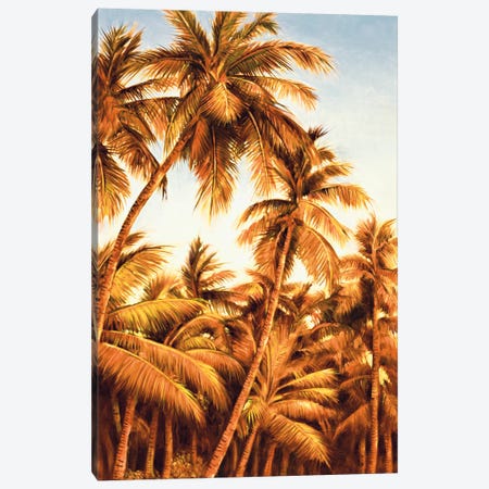 Island Sunset II Canvas Print #JIM7} by Rodolfo Jimenez Canvas Art