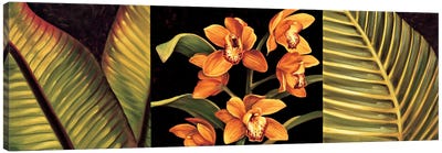 Orange Orchids And Palm Leaves Canvas Art Print