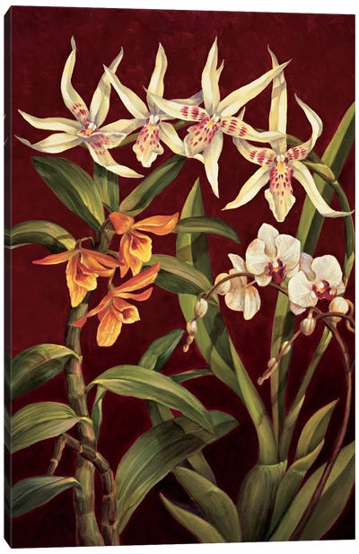 Orchid Trio I Canvas Art Print