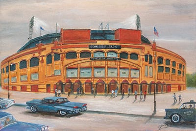 Comiskey Park by Jim Williams framed wall art