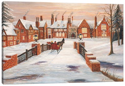 Meadow Brook Winter Canvas Art Print
