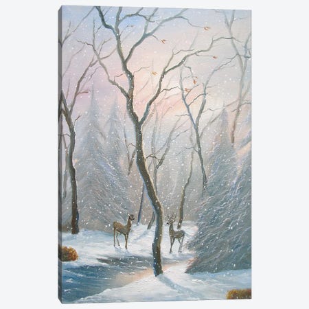 Misty Forest Deer Canvas Print #JIW21} by Jim Williams Canvas Art Print