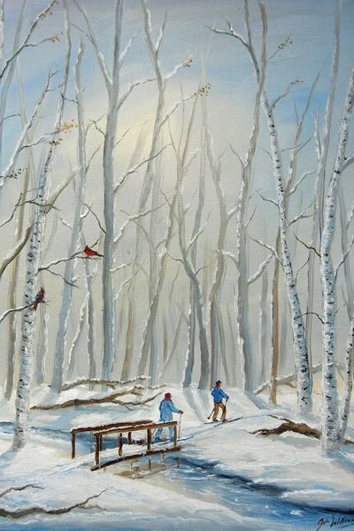 Canvas Print: Quiet Ski Trail by Jim Williams - thumbnail