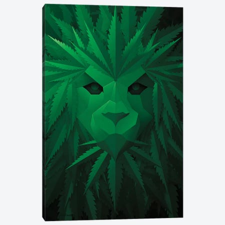 Green Lion Canvas Print #JJB27} by JJ Brando Canvas Print