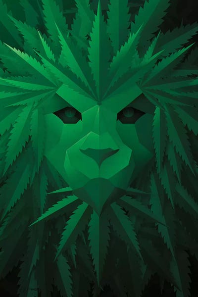 JJ Brando: Green Lion by JJ Brando