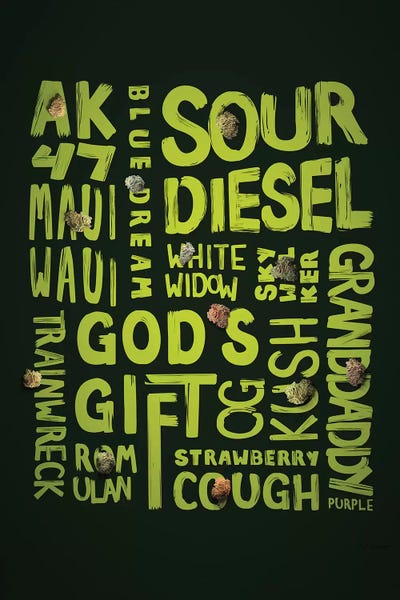 Marijuana: Green Words by JJ Brando