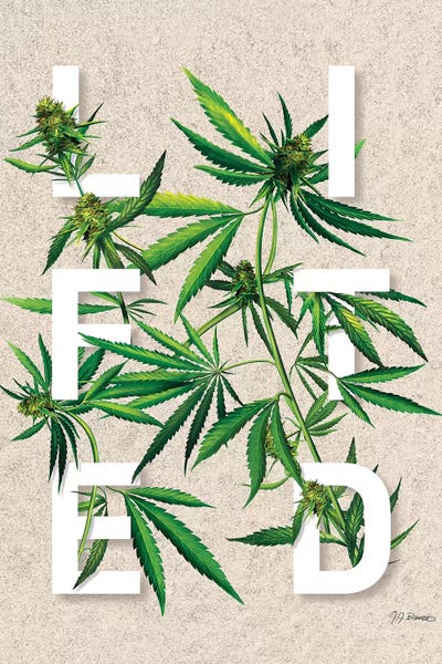 Lifted by JJ Brando framed wall art