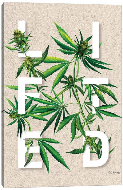 Lifted Canvas Art Print - Marijuana Art