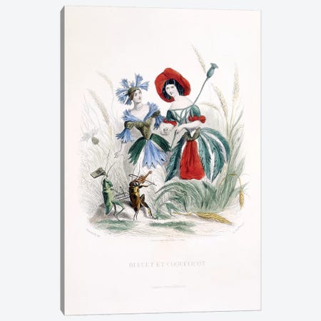 Cornflower & Poppy (Bleuet et Coquelicot) Canvas Print #JJG2} by J.J. Grandville Canvas Wall Art