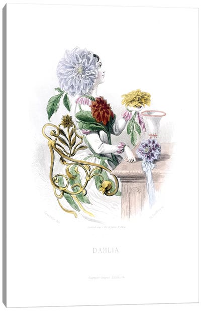 Dahlia Canvas Art Print - New York Botanical Garden