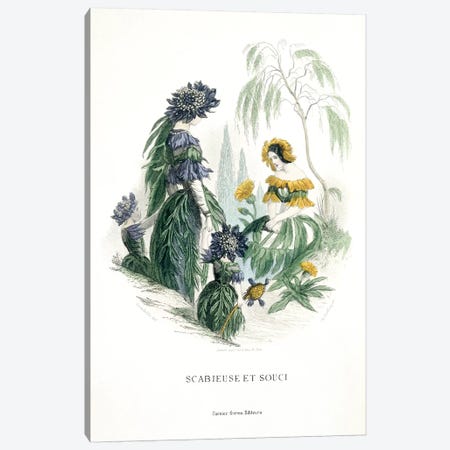 Mourning Bride & Marigold (Scabieuse et Souci) Canvas Print #JJG5} by J.J. Grandville Canvas Art Print