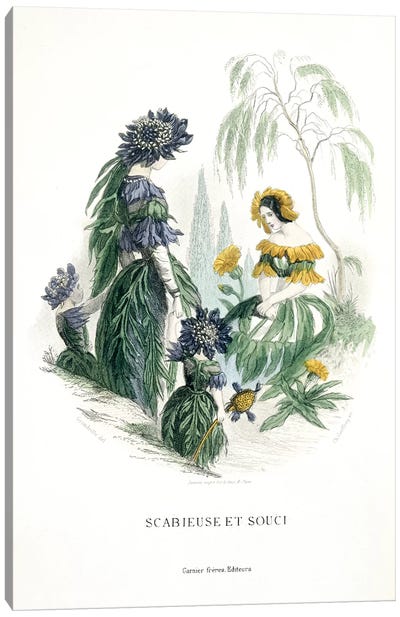 Mourning Bride & Marigold (Scabieuse et Souci) Canvas Art Print - New York Botanical Garden