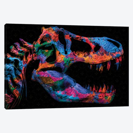 Painted T-Rex Canvas Print #JJH1} by Jesse Johnson Canvas Print